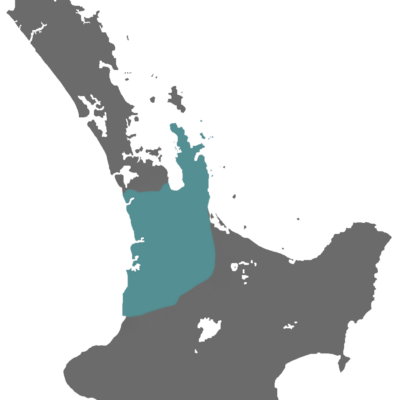 waikato waikato